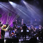 ZBIGNIEW WODECKI WITH MITCH & MITCH ORCHESTRA AND CHOIR (Amfiteatr w Parku Sowińskiego) 2016-05-15