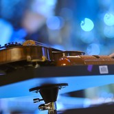 ZBIGNIEW WODECKI WITH MITCH & MITCH ORCHESTRA AND CHOIR (Amfiteatr w Parku Sowińskiego) 2016-05-15