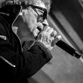 LADY PANK 2015-04-11