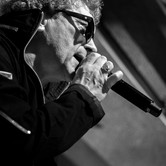 LADY PANK 2015-04-11