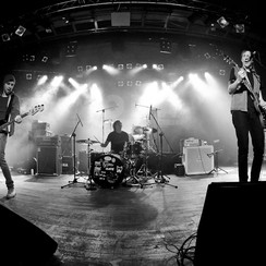 2011-10-17 Mona fot. Marcin Bąkiewicz MKF.COM.PL