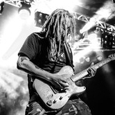 WYGNANE PANNY WYKLĘTE 2015-01-15