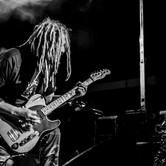 WYGNANE PANNY WYKLĘTE 2015-01-15