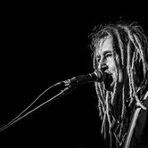 WYGNANE PANNY WYKLĘTE 2015-01-15