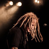 WYGNANE PANNY WYKLĘTE 2015-01-15