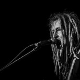 WYGNANE PANNY WYKLĘTE 2015-01-15