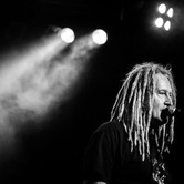 WYGNANE PANNY WYKLĘTE 2015-01-15