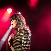 WYGNANE PANNY WYKLĘTE 2015-01-15