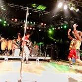 GOGOL BORDELLO 2009-12-08