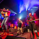 GOGOL BORDELLO (KLUB STODOŁA - WARSZAWA) 2014-12-04