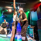 GOGOL BORDELLO (KLUB STODOŁA - WARSZAWA) 2014-12-04