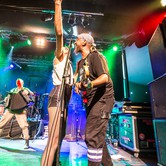 GOGOL BORDELLO (KLUB STODOŁA - WARSZAWA) 2014-12-04