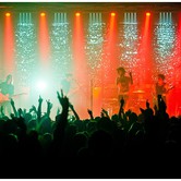 CURLY HEADS 2015-04-09