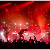 CURLY HEADS 2015-04-09