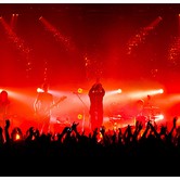 CURLY HEADS 2015-04-09