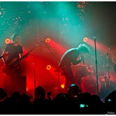 CURLY HEADS 2015-04-09