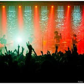 CURLY HEADS 2015-04-09