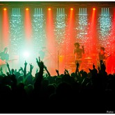 CURLY HEADS 2015-04-09