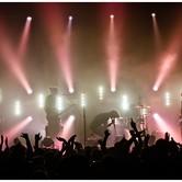 CURLY HEADS 2015-04-09