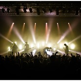 CURLY HEADS 2015-04-09