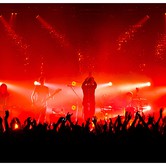 CURLY HEADS 2015-04-09