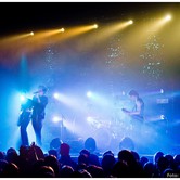 CURLY HEADS 2015-04-09