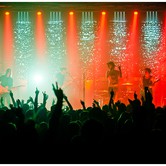 CURLY HEADS 2015-04-09