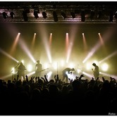 CURLY HEADS 2015-04-09