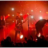 CURLY HEADS 2015-04-09