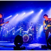 CURLY HEADS 2015-04-09