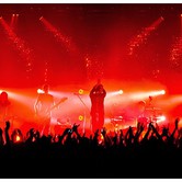 CURLY HEADS 2015-04-09