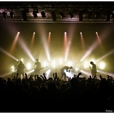 CURLY HEADS 2015-04-09