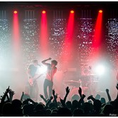 CURLY HEADS 2015-04-09