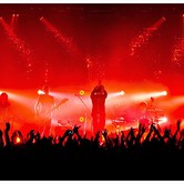 CURLY HEADS 2015-04-09