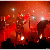 CURLY HEADS 2015-04-09