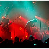 CURLY HEADS 2015-04-09