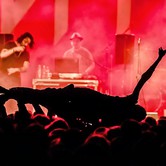 Bracia Figo Fagot 2014-02-22