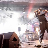 Bracia Figo Fagot 2014-02-22