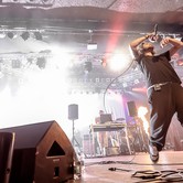 Bracia Figo Fagot 2014-02-22