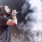 Bracia Figo Fagot 2014-02-22