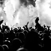 Bracia Figo Fagot 2014-02-22