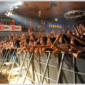 SIMPLE PLAN, ZEBRAHEAD, KIDS IN GLASS HOUSES 2008-11-10