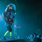 LUCKY CHOPS 2017-02-08