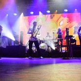 BEDNAREK (WARSZAWA-STODOŁA) - SOLD OUT 2018-01-26