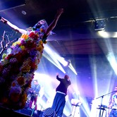 ŁĄKI ŁAN - SOLD OUT 2018-12-01