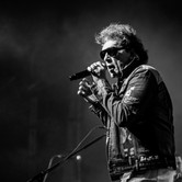 LADY PANK - SOLD OUT 2019-12-14