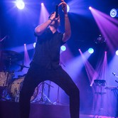 THE DUMPLINGS 2019-12-30