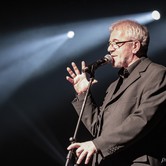 PIWNICA POD BARANAMI 2019-11-24