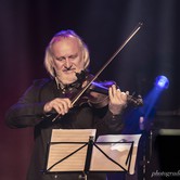 PIWNICA POD BARANAMI 2019-11-24