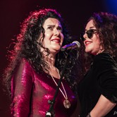 PIWNICA POD BARANAMI 2019-11-24